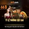 66b: khái niệm, ứng dụng và tương lai