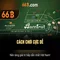 Mô hình 66B: Khám phá sức mạnh và ứng dụng
