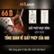 66b: Khám phá mô hình ngôn ngữ lớn cho tương lai AI